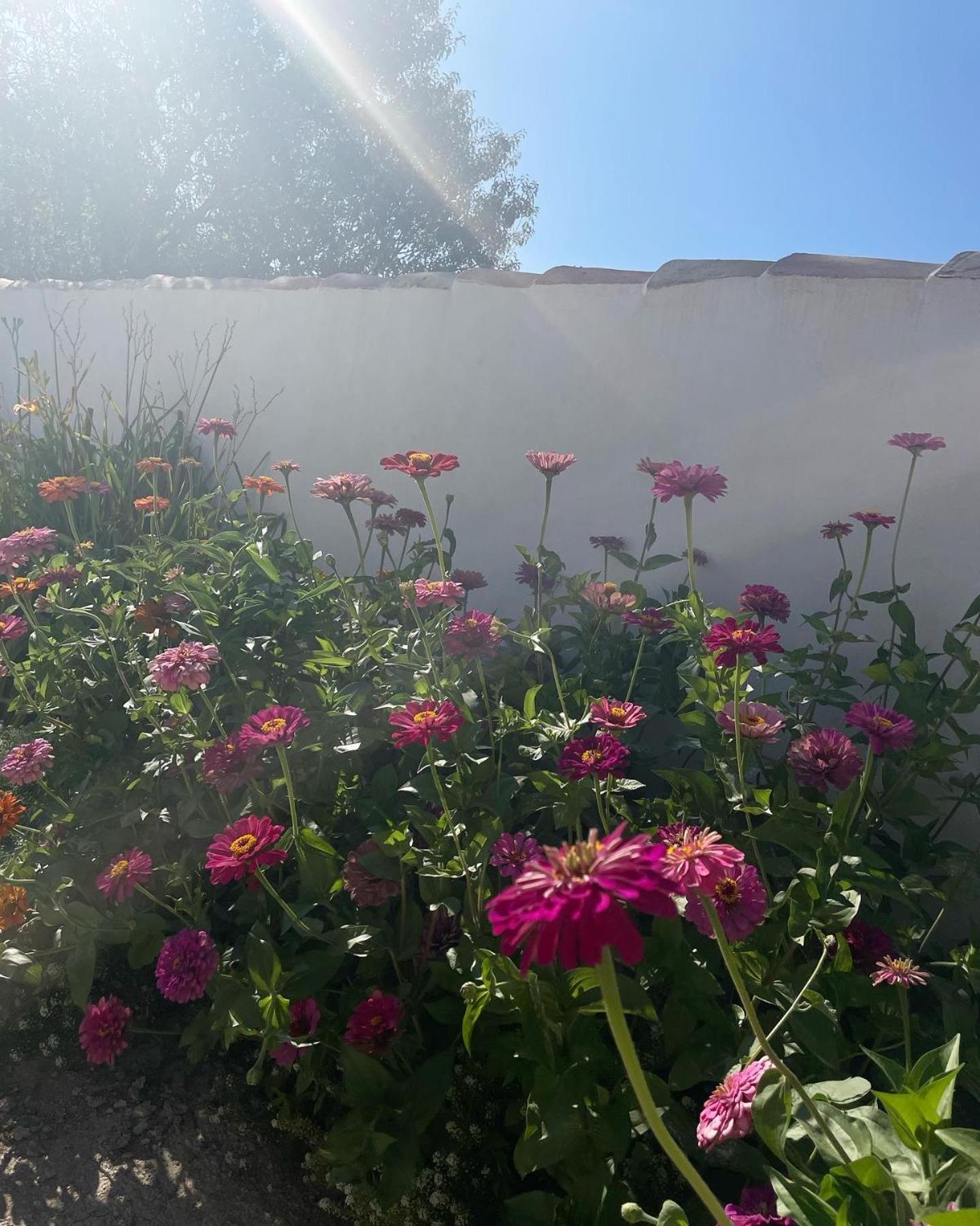 הוילה קסטריל Cortijo El Prado L מראה חיצוני תמונה